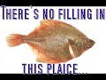 The Dillinger Escape Plan - Farewell, Mona Lisa (Misheard Lyrics)