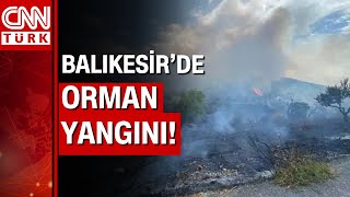 Balıkesir'de orman yangını! Alevlere havadan ve karadan müdahale sürüyor