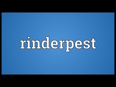 Header of rinderpest
