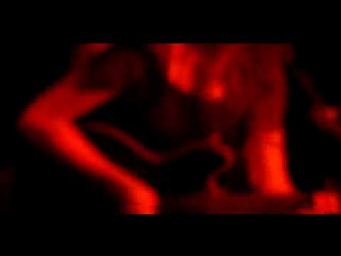 Whatever You Want Video