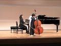 contrabass