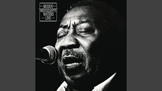 Watch Muddy Waters Medley After Hoursstormy Monday Blues video