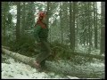 From two-man crosscut to harwarder