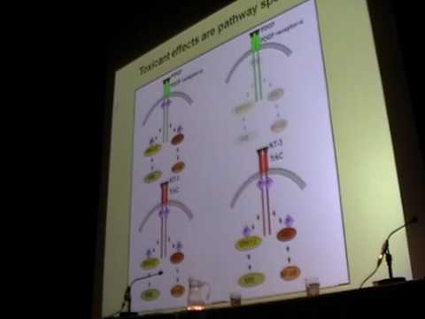 intracellular ph hydrogen ion graph