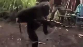 Ak-47 Wi̇th Monkey