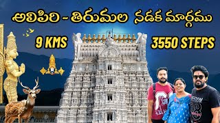 Alipiri Metlu To Tirumala Venkateswara Swamy By Walking 3550 Steps In Deep Forest With Animals
