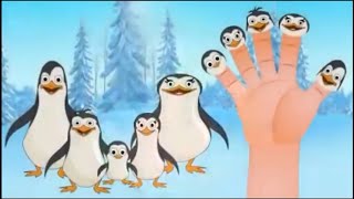 Семья Пальчиков Пингвины Finger Family Penguins In Russian