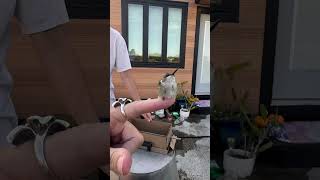 First Time To Hold A Hummingbird