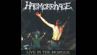Watch Haemorrhage Decomposers video