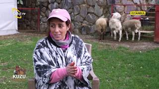 Et Kuzularının Beslenmesi ve Bakımı - KUZU FABRİKASI / Çiftçi TV
