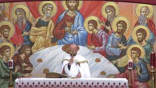 2nd Sunday of Apostles - Arabic Mass - Fr. Roni Schamoun