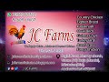 Introduction of JCFarms Srikakulam | NatuKollaFarming |natu kolla pempakam | నాటు కోళ్ల పెంపకం