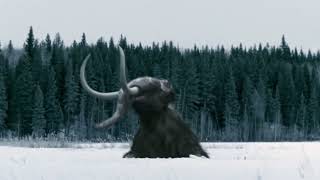 Bbc 고대맹수대탐험 Walking With Beasts - Ep6 Mammoth Journey 오프닝 Opening 한글 자막