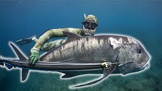 Spearfishing Hawaii For Ulua And Uku With My New Speargun
