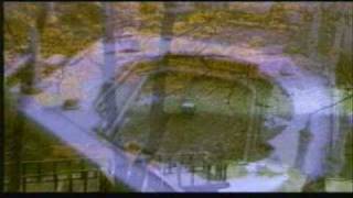 D.a.e Bekli̇yorlar-Hi̇cret