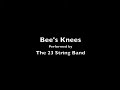 The 23 String Band - Bee's Knees