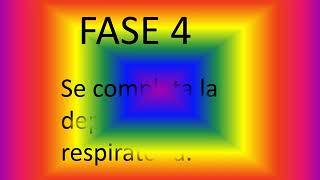 Adulto
