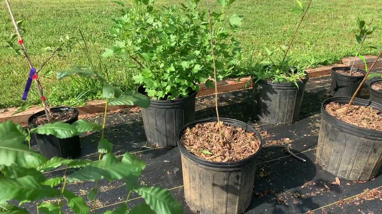 2021-2022 Season Farm Videos