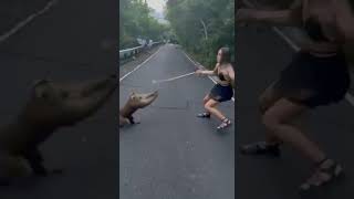 Naughty Monkey With Girl
