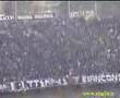 Curva Sud Rozzi - Ascoli Calcio 1898 Regina delle Marche