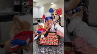 Dogs Throw A 4Th Of July Party