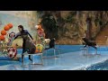 Видео Харьковский дельфинарий 2012