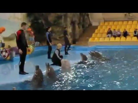 Харьковский дельфинарий 2012