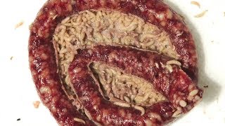 Sausage Decomposition - Rotting Sausage - Time Lapse