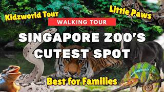 Walking Through Singapore Zoo Reptopia, Kidzworld, Malayan Tiger & More