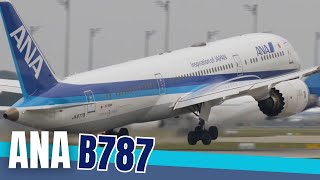 All Nippon Airways Ana B787-9 Takeoff At Munich Airport Muc