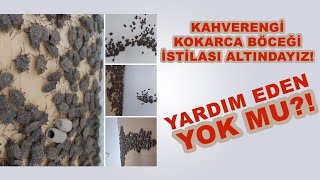 Karadeni̇z İsti̇la Altinda ... Yardim Eden Yokmu...