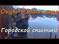 Спиннинг в ноябре. Нужно ли искать окуня в мини озере? Спиннинг в ноябре. Нужно ли искать окуня в мини озере?