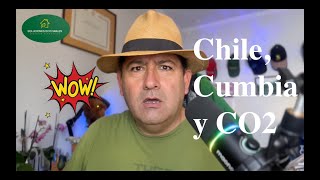 Captura De Carbono El Rol Vital De La Madera En Chile En Soluciones Ecoviables