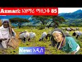 Ethiopia: ምርጥ የአገር ትዝታ አዝማሪ ማሲንቆ - Azmari Masinko | Best Ethiopian Azmari Music Part 85