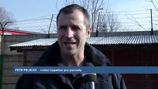 INFO TV BRNO A JIŽNÍ MORAVA - Nové pracoviště pro psovody
