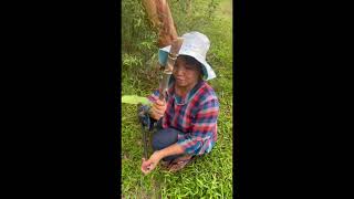 Aommychi In Countryside Chis Home 27.05.2022