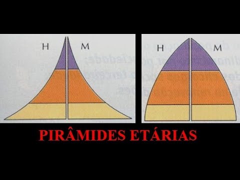 Indicadores Demográficos e Estruturas Etárias (Geografia - 8º ano)