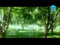 Download roja janeman MP3 song and Music Video