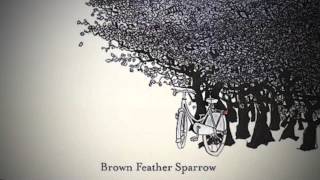 Watch Brown Feather Sparrow We Have To Run video