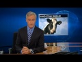 CBS Evening News with Scott Pelley - Mad cow disease discovered in Calif.