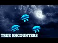 I've Seen Atmospheric Beasts | True Encounters Vol 3