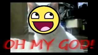 Oh My God This Sparta Remix Is Totally Ing Awesome