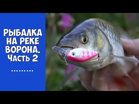охотник и рыболов эдуард лобанов охотник и рыболов эдуард лобанов