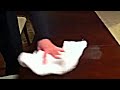 white table
