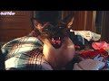 Funny CATS will make you LAUGH YOUR HEAD OFF - Funny Cats compilation
