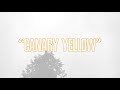Canary Yellow Video preview