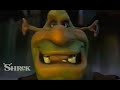 The Original Shrek Test from 1995