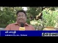 thinamalar
