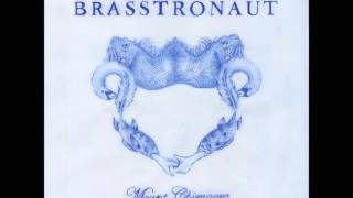Watch Brasstronaut Insects video
