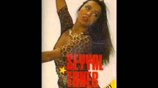Seyyal Taner-Neler Oluyor-1989 HQ Sound